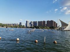 -暨阳湖生态园