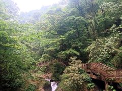 -瓦屋山景区