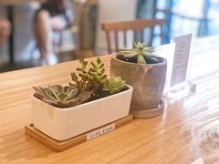 -Cafe Villa