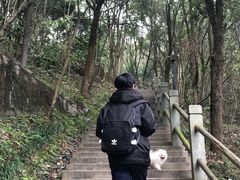 -大罗山风景区