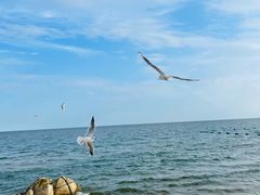 -老虎石海上公园