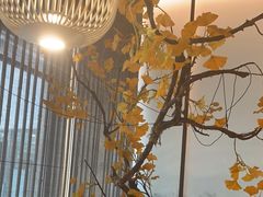 -京华烟云·北京烤鸭(领展购物广场·中关村店)