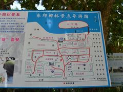 -东郊椰林