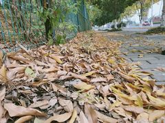 -九里河湿地公园