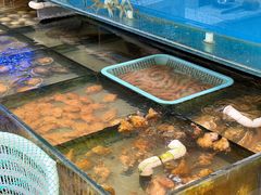 -小铜锣湾海鲜家常菜馆(河西店)