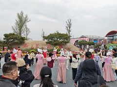 -荷兰花海