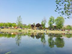 -两河城市森林公园