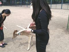 -北京麋鹿生态实验中心