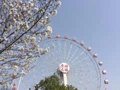 -东湖生态旅游风景区