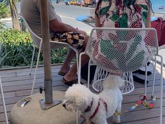 -Takapuna Beach Cafe