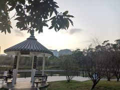 -四海公园(南山区)