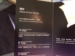 -苏州金鸡湖文博诺富特酒店