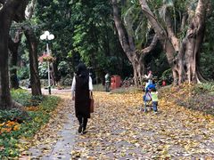 -人民公园(罗湖区)