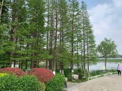 景点-云龙湖旅游景区