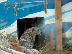 -青藏高原野生动物园