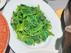 -南堂馆·新川菜(春熙路店)