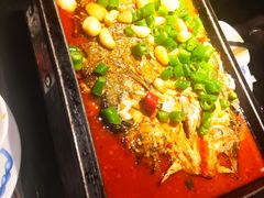 -炉鱼(亲橙里店)