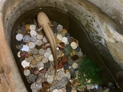 -水晶之星洗浴温泉汗蒸