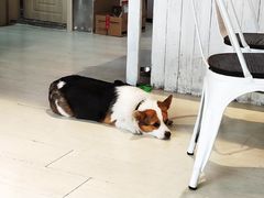 -艾蜜西餐厅(梅园店)