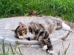 -北京西山国家森林公园