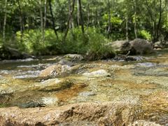 -玉渡山自然风景区