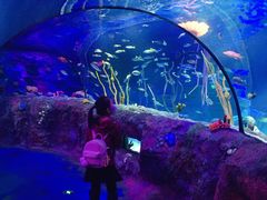 -沈阳海洋探索中心