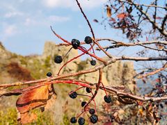 -白草畔自然风景区
