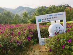 -清远熹乐谷温泉度假酒店