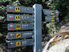 -九龙江国家森林公园