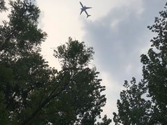 -东郊湿地公园