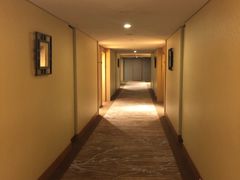 -新加坡乌节希尔顿酒店 (SG Clean)