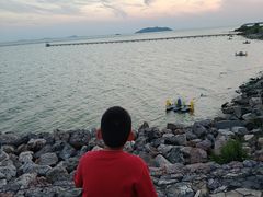 -合肥滨湖国家森林公园