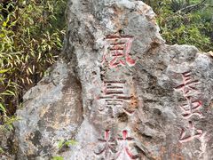 -长虫山生态公园风景林