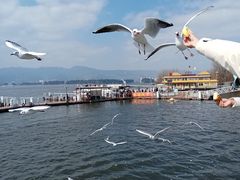 -海埂大坝
