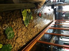 丰茂盛朝鲜族烤串(亚运村店)-丰茂烤串(金泉美食宫店)