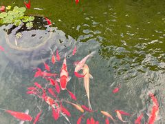 -香雪海饭店中餐厅(人民桥店)