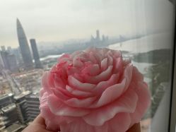 -圣贝拉母婴护理中心(深圳莱佛士店)