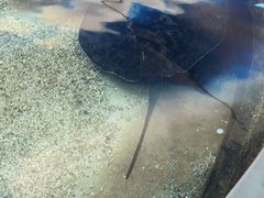 -鸿通城购物中心