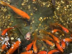 -邈墨茶馆(凤起路店)