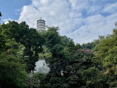 -深圳国际园林花卉博览园