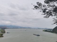 -羚羊峡古栈道森林公园