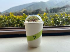 -白茶原·一片叶子