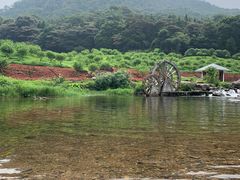 -广州市石门国家森林公园