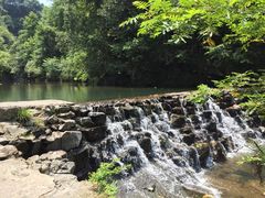 -石台牯牛降景区