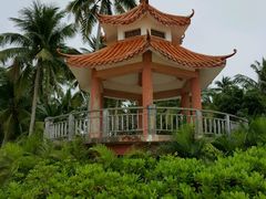 -东郊椰林