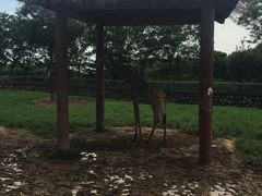 -石家庄市动物园