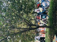 -长白岛森林公园