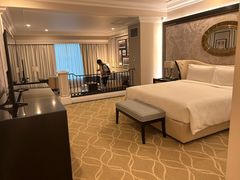 -澳门威尼斯人综合度假区