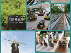 上海鲜花港-上海鲜花港