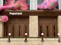 -帕帕拉兹宠物(亚洲旗舰店)